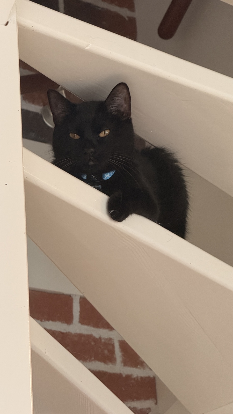 Nyx