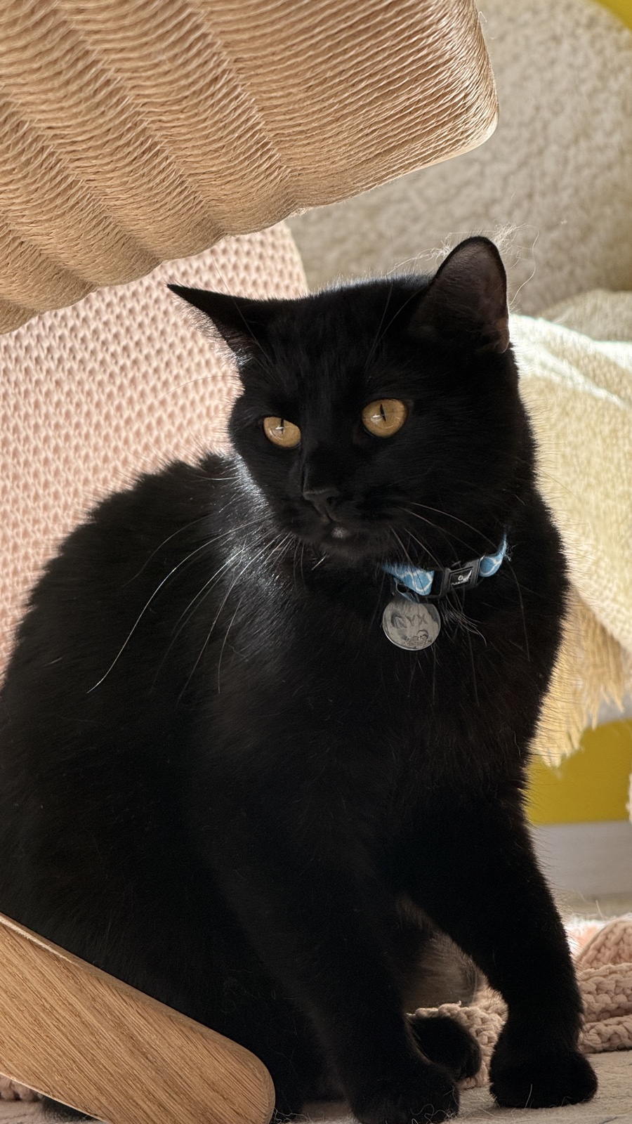 Nyx